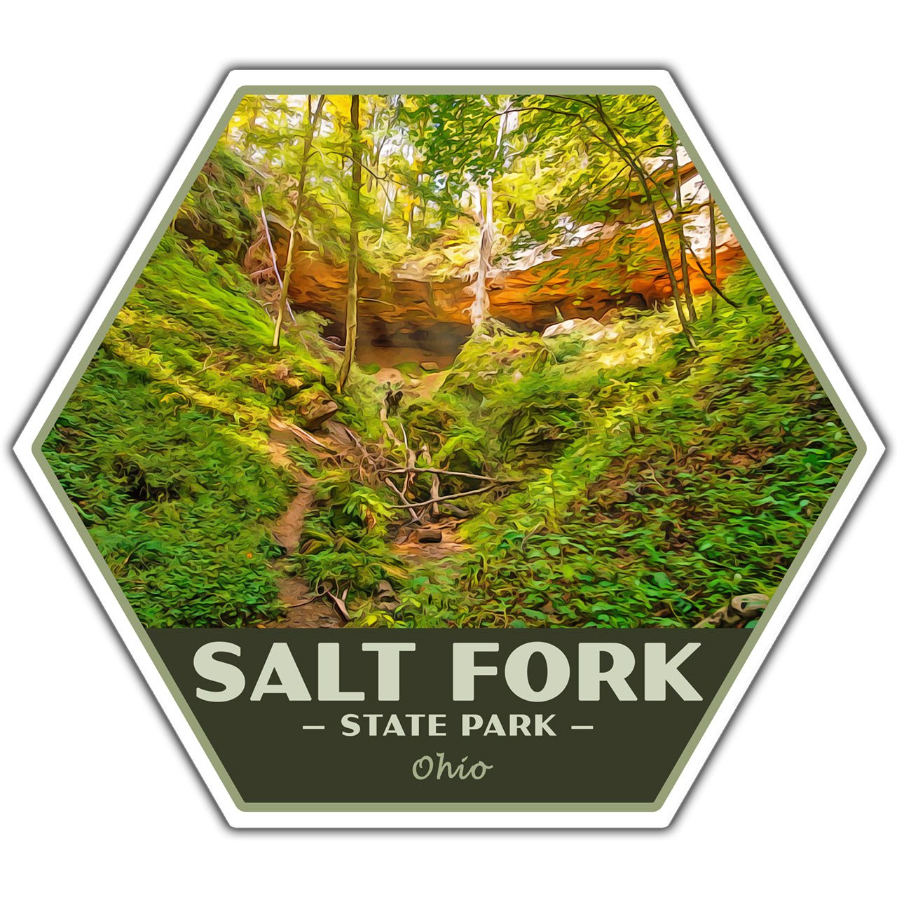 Salt Fork state park sticker