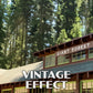 Sequoia National Park Poster-WPA (Giant Forest Museum)