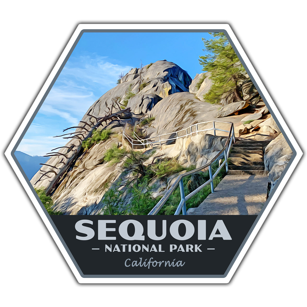 Sequoia National Park Sticker