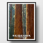 Sequoia National Park Poster-WPA (Grant Grove)