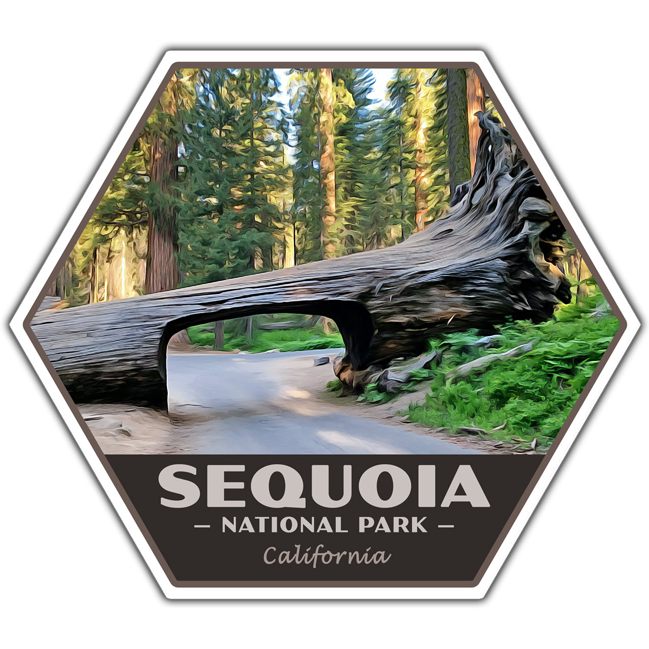 Sequoia National Park Sticker