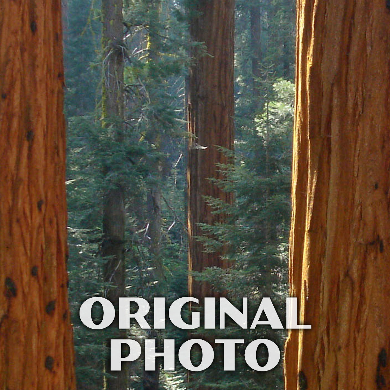 Sequoia National Park Poster-WPA (Grant Grove) – Just Go Travel