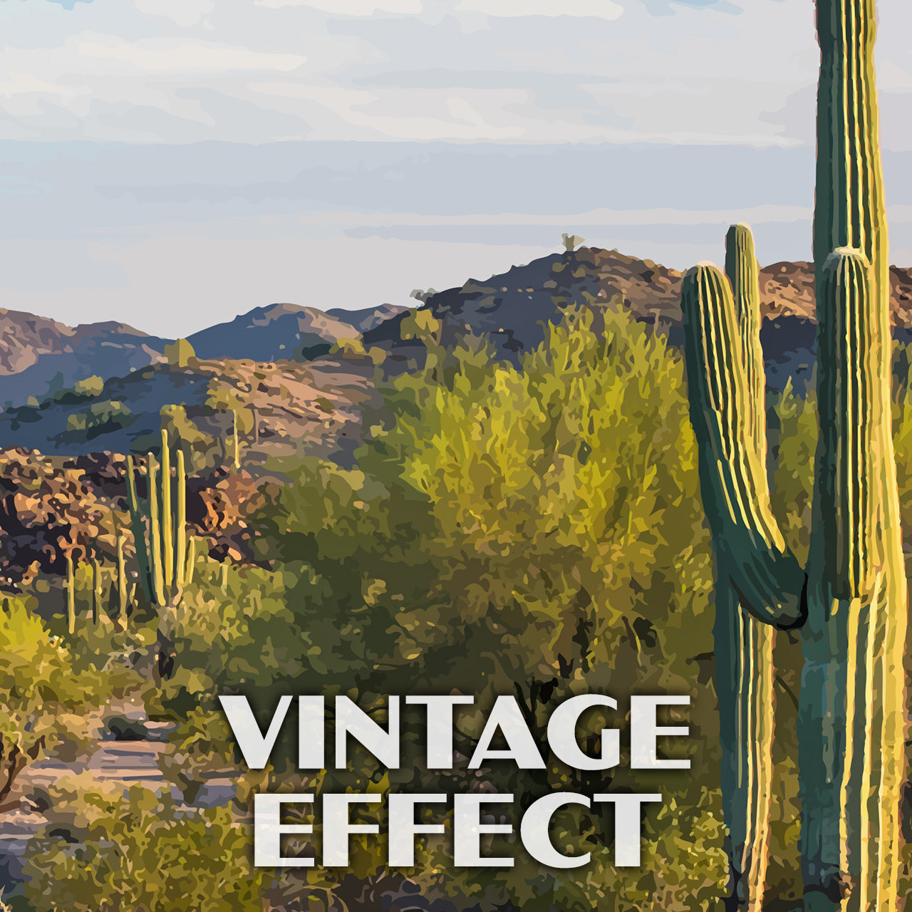 Sonoran Desert National Monument Poster-WPA (Viewpoint)
