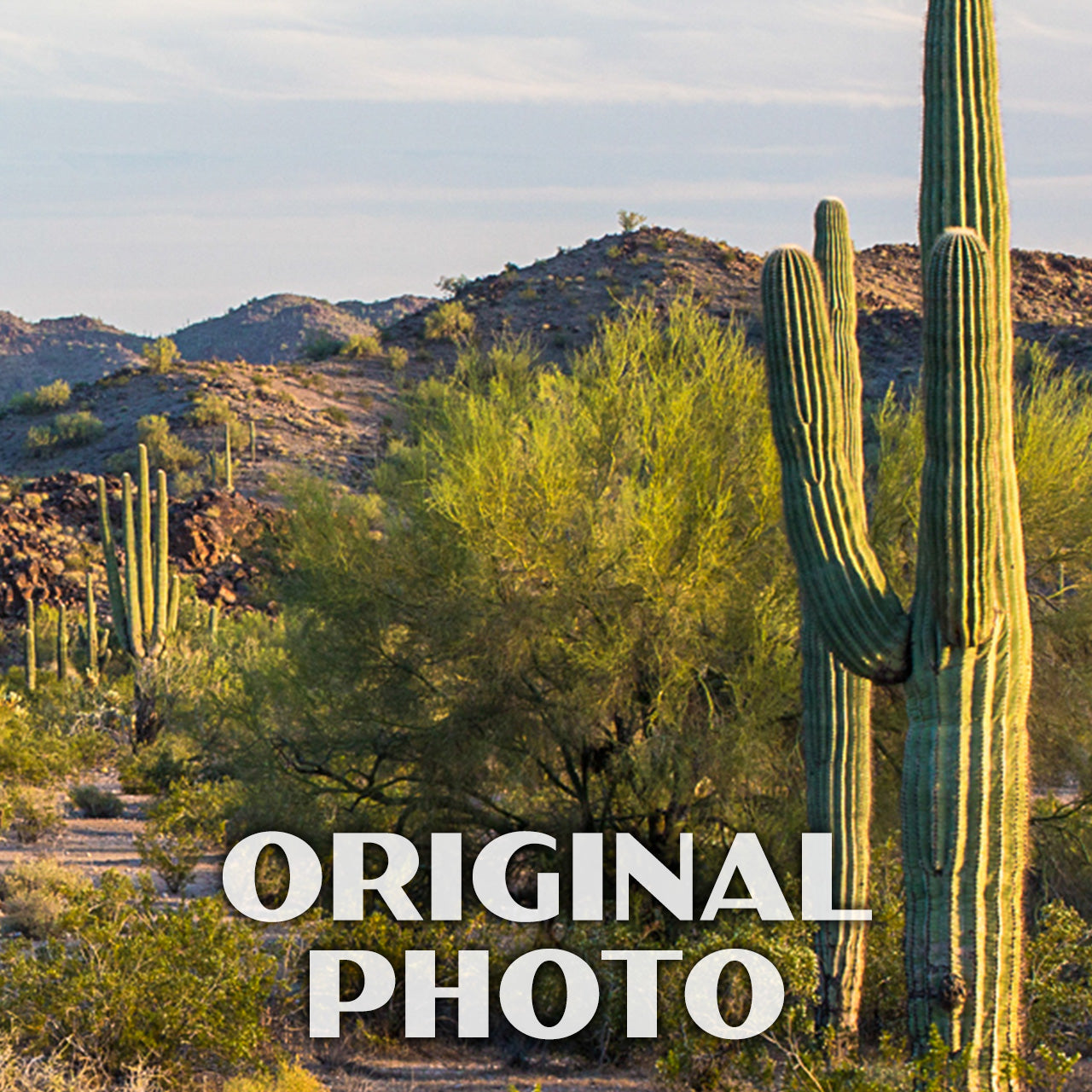 Sonoran Desert National Monument Poster-WPA (Viewpoint)