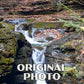 Watkins Glen State Park Poster - WPA (Central Cascade)