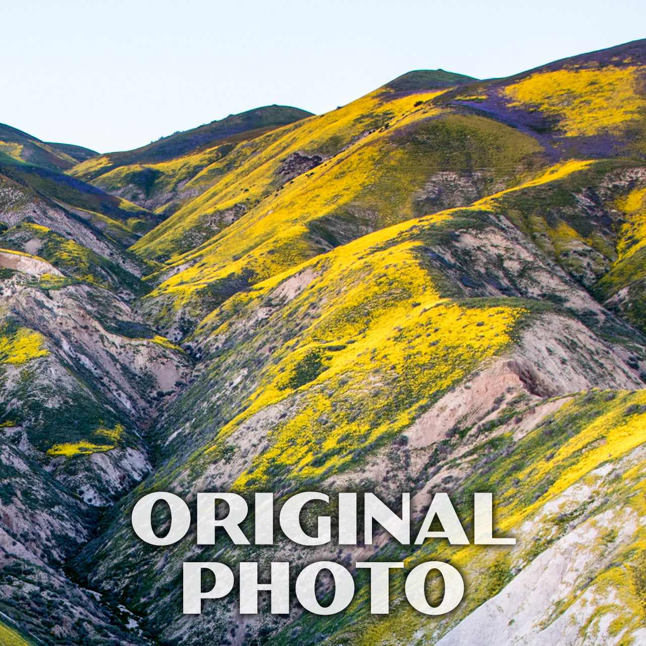 Carrizo Plain National Monument Poster-WPA (Superbloom)