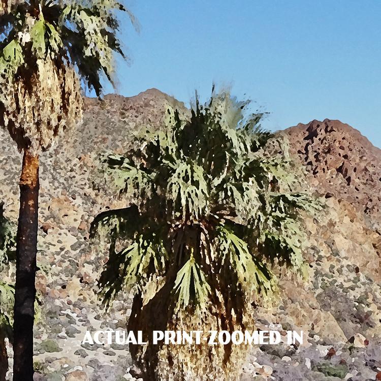 Joshua Tree National Park Poster-49 Palms Oasis