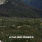 Rocky Mountain National Park Poster-Alpine Ridge Trail (Personalized)