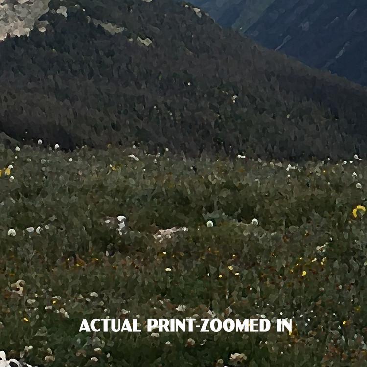 Rocky Mountain National Park Poster-Alpine Ridge Trail