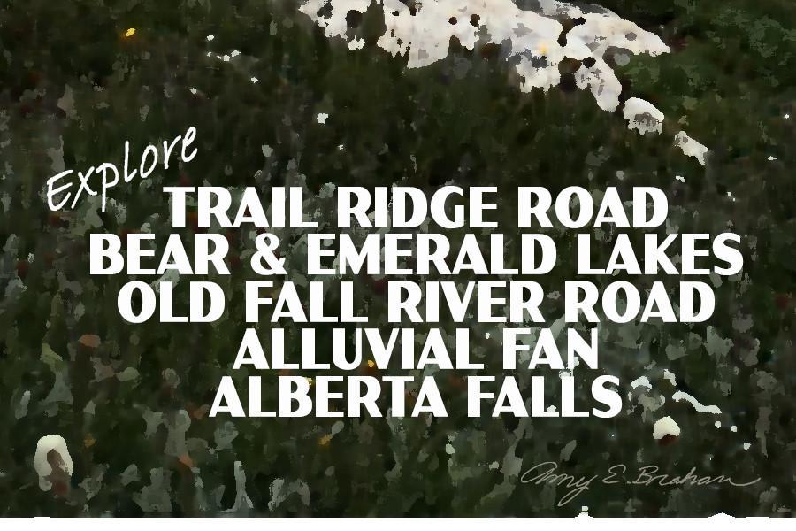Rocky Mountain National Park Poster-Alpine Ridge Trail