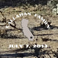 Joshua Tree National Park Poster-Joshua Tree (Personalized)