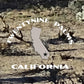 Joshua Tree National Park Poster-Barker Dam Trail