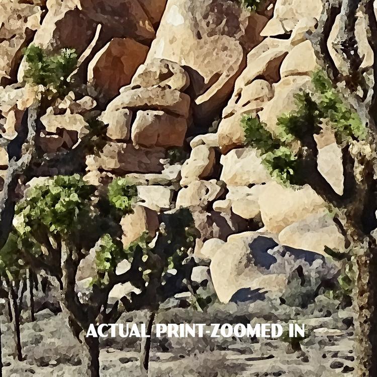 Joshua Tree National Park Poster-Barker Dam Trail