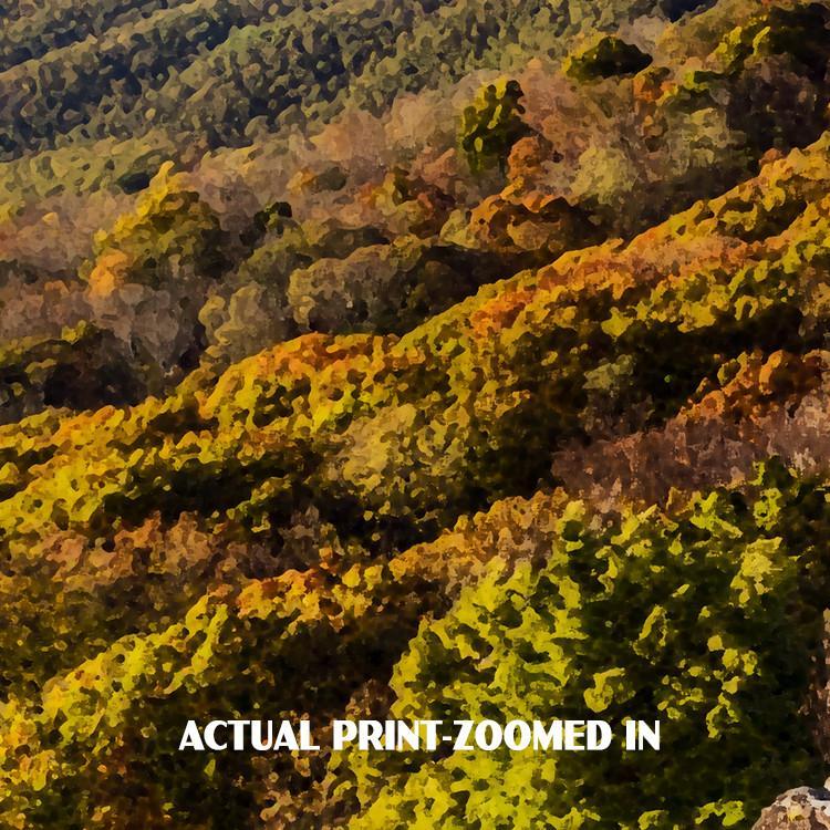 Shenandoah National Park Poster-Bearfence Mountain