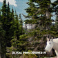 Glacier National Park Poster-Bearhat Mountain