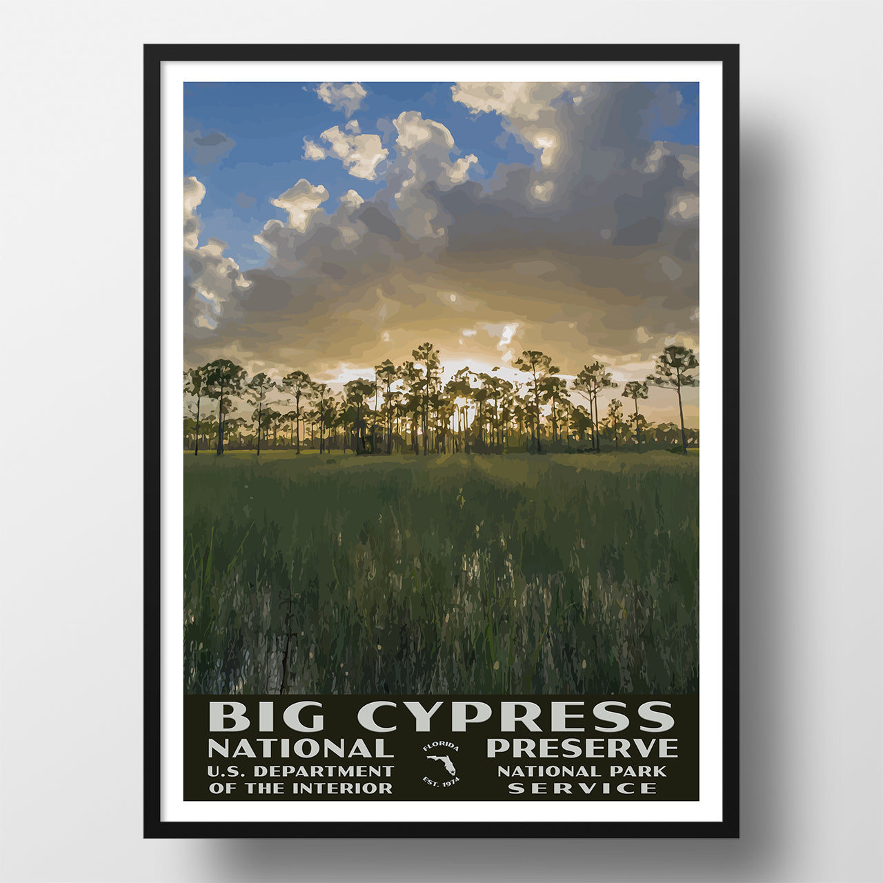 Big Cypress National Preserve poster