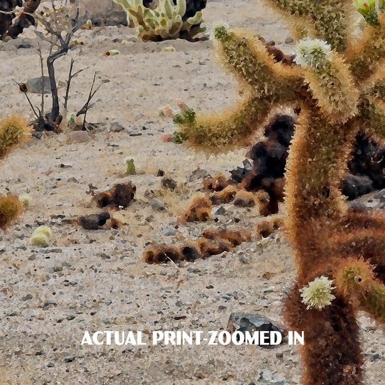 Joshua Tree National Park Poster-Cholla Cactus Garden (Personalized)