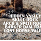 Joshua Tree National Park Poster-Cholla Cactus Garden (Personalized)