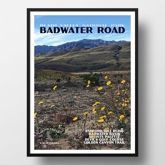 Death Valley National Park Poster-Badwater Road Wildflowers in Hills