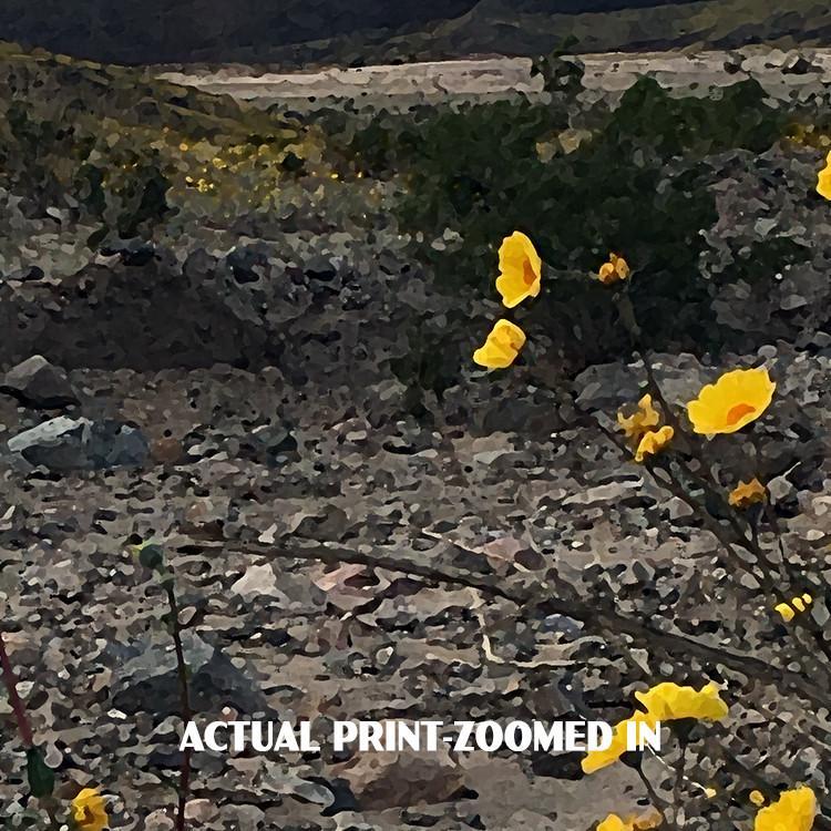 Death Valley National Park Poster-Badwater Road Wildflowers in Hills (Personalized)