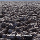 Death Valley National Park Poster-Devil's Golf Course (Personalized)
