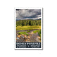 Devils Postpile National Monument Poster-WPA (Soda Springs)