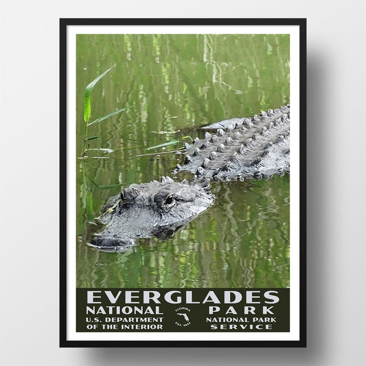 Everglades National Park Poster-WPA (Alligator)