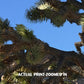Joshua Tree National Park Poster-Joshua Tree Hall of Horrors (Personalized)