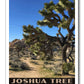 Joshua Tree National Park Poster, WPA Style, Hall of Horrors