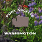 Olympic National Park Poster-Hurricane Ridge Wildflowers