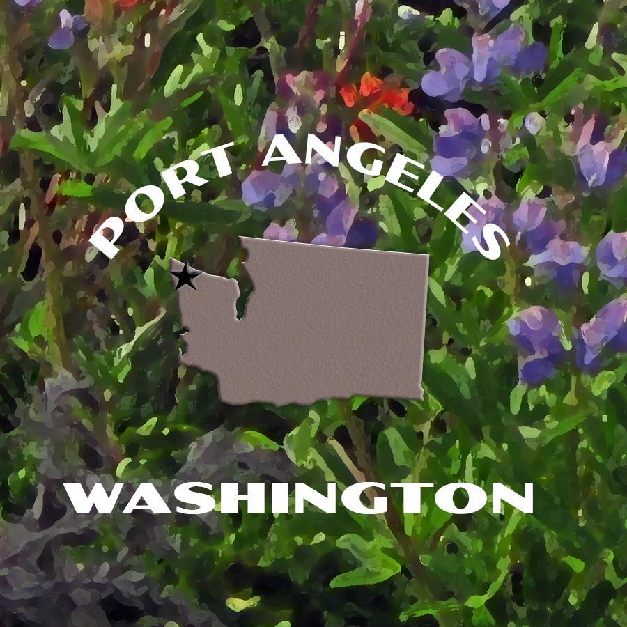 Olympic National Park Poster-Hurricane Ridge Wildflowers
