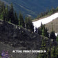 Olympic National Park Poster-Hurricane Ridge Wildflowers