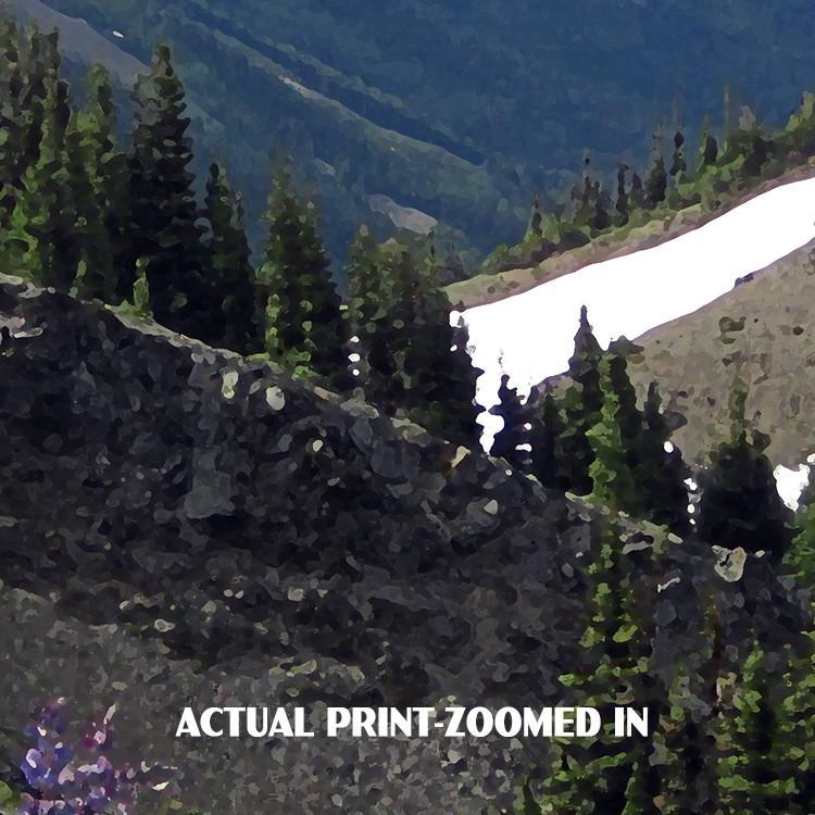 Olympic National Park Poster-Hurricane Ridge Wildflowers