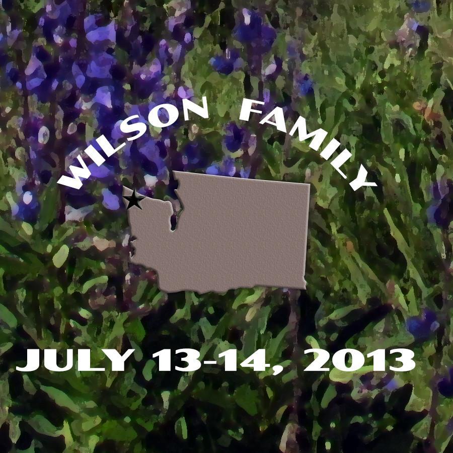 Olympic National Park Poster-Hurricane Ridge (Personalized) – Just Go ...