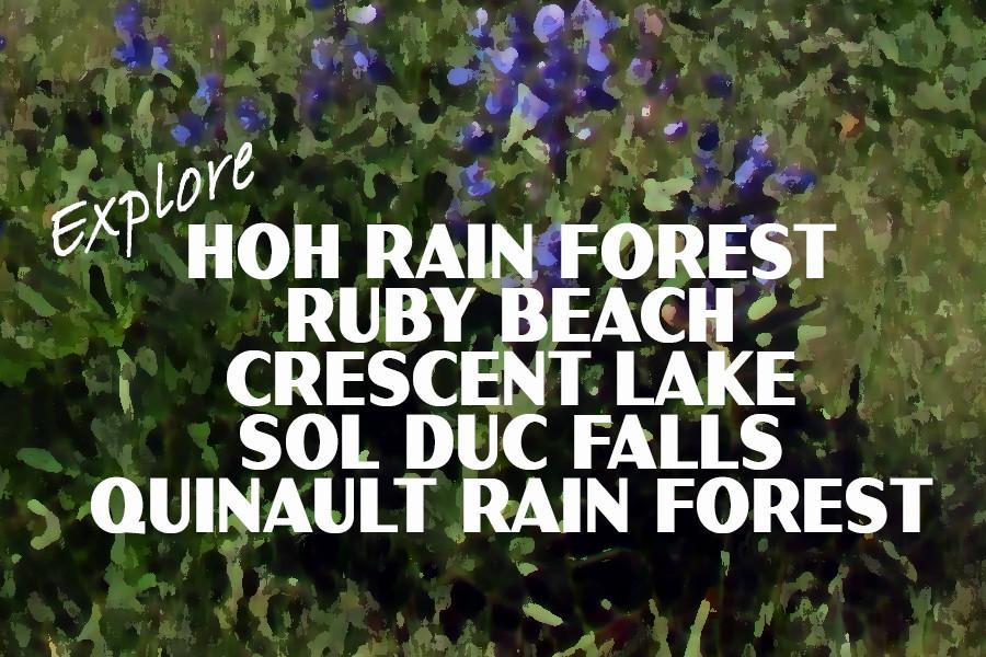 Olympic National Park Poster-Hurricane Ridge (Personalized) – Just Go ...