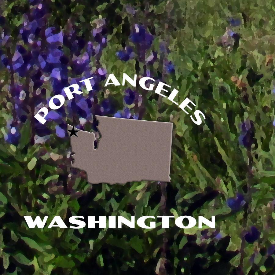 Olympic National Park Poster-Hurricane Ridge – Just Go Travel Studios