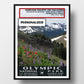 Olympic National Park poster