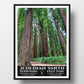 Jedediah Smith Redwoods State Park Poster-WPA