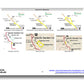 Arches National Park Itinerary (Digital Download)
