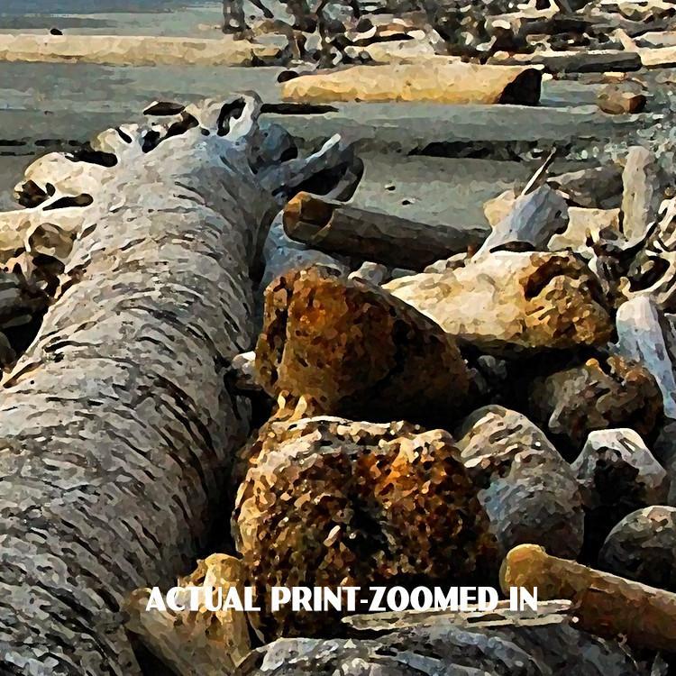 Olympic National Park Poster-Kalaloch Beach (Personalized)