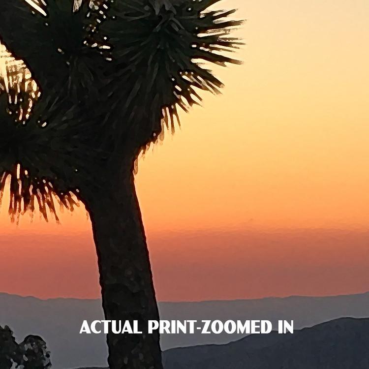 Joshua Tree National Park Poster-Keys View