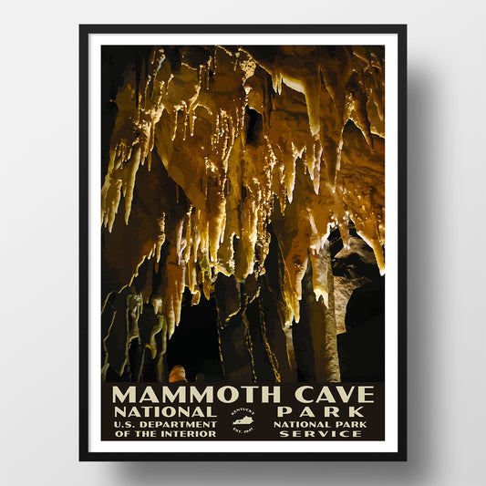 Mammoth Cave National Park Poster