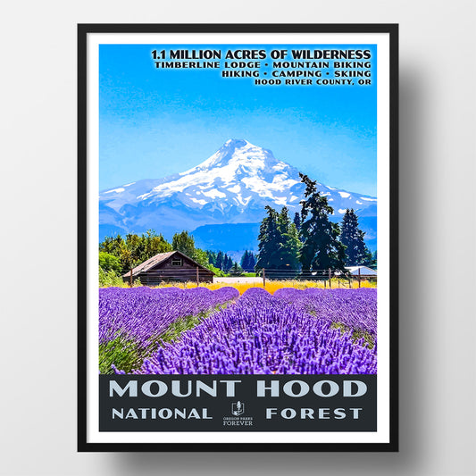 Mount Hood National Forest Poster - WPA (Lavender Fields) - OPF