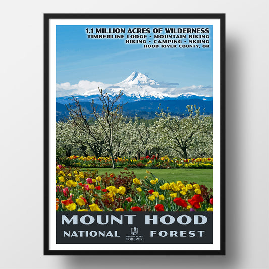 Mount Hood National Forest Poster - WPA (Spring) - OPF