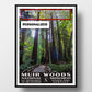 Muir woods national monument poster wpa style