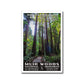 Muir woods national monument poster wpa style