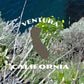 Channel Islands National Park Poster-Channel Islands (Santa Cruz Island)