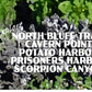 Channel Islands National Park Poster-Channel Islands (Santa Cruz Island)