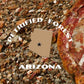 Petrified Forest National Park Poster-Petrified Forest