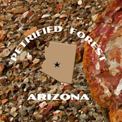 Petrified Forest National Park Poster-Petrified Forest